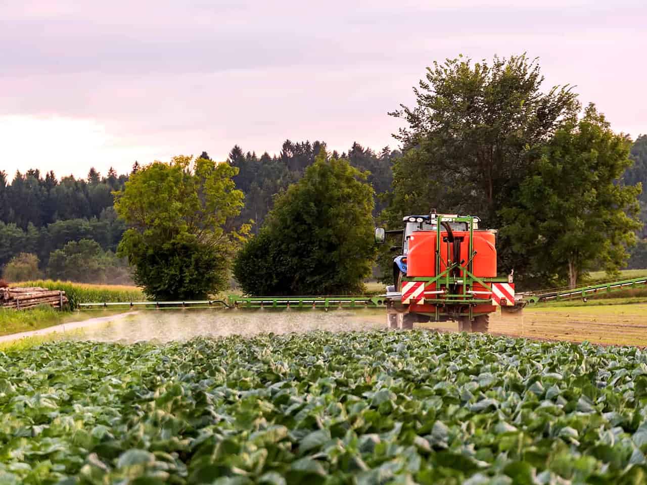 Tractor spraying crops with pesticides
