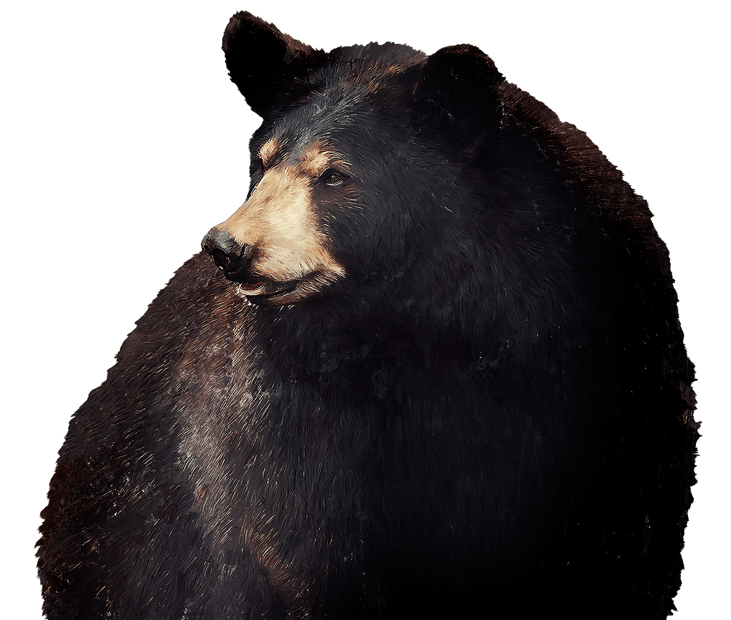 Grimes Teich Anderson North and South Carolina Bear